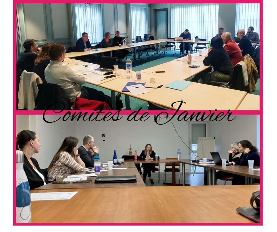 Montage_comites_janvier.png